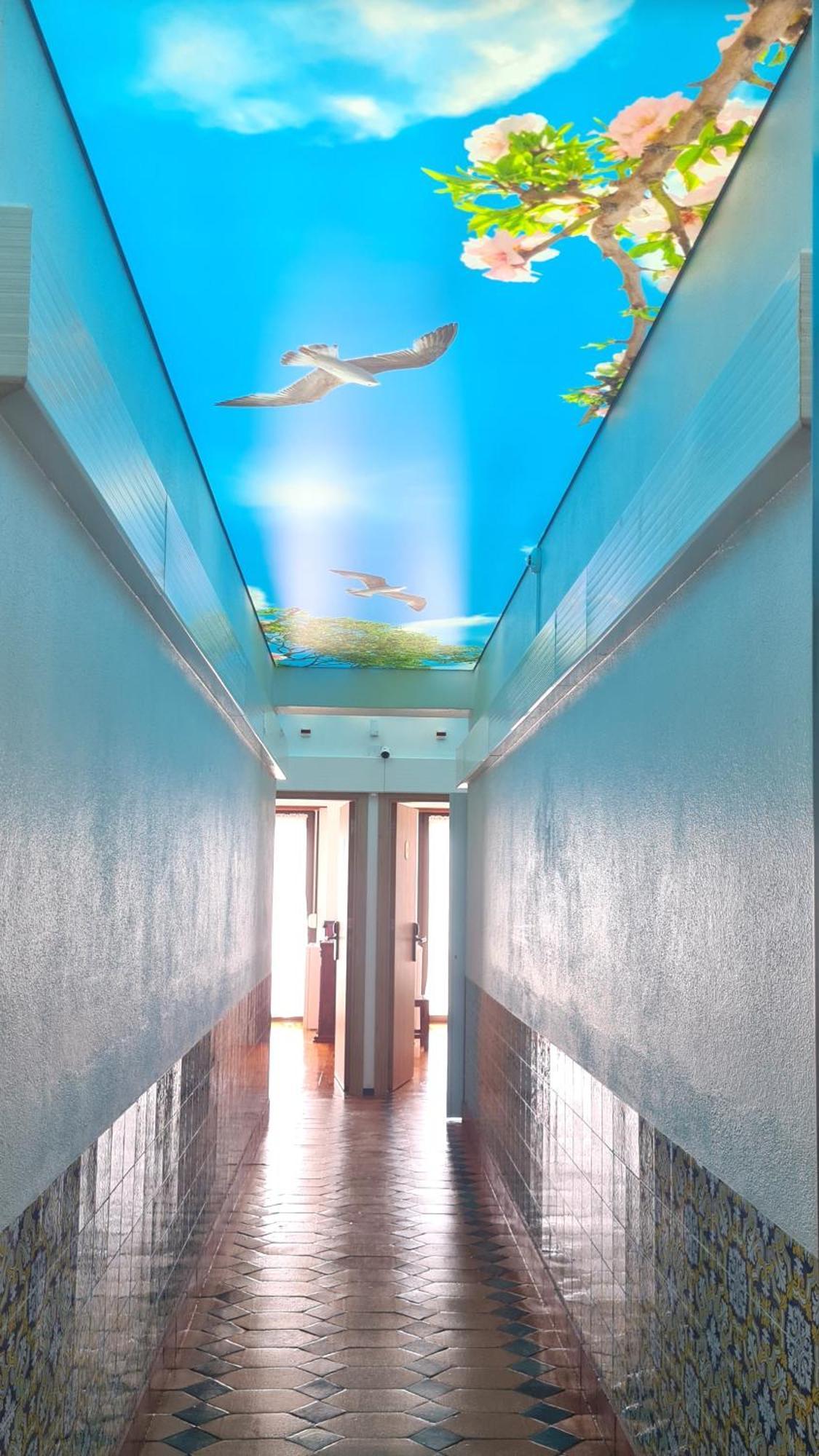 Solar Dos Carvalhos - Apartamentos De Turismo Назаре Экстерьер фото
